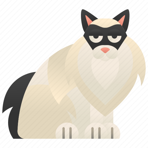Beautiful, cat, fur, playful, ragdoll icon - Download on Iconfinder