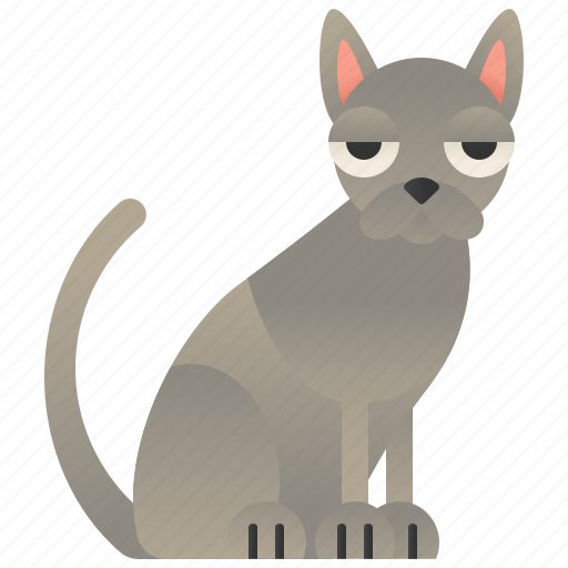 Blue, cat, feline, russian, silver icon - Download on Iconfinder