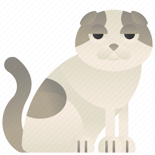 Cat, cute, fold, pedigree, scottish icon - Download on Iconfinder