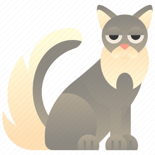 Beautiful, cat, fluffy, large, somali icon - Download on Iconfinder