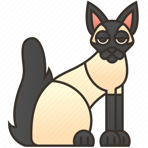 Adorable, balinese, cat, feline, fluffy icon - Download on Iconfinder