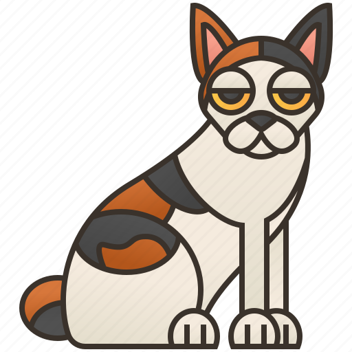 Bobtail, calico, cat, japanese, pet icon - Download on Iconfinder