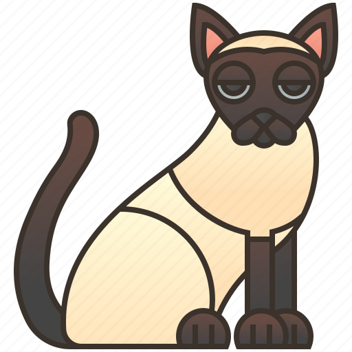 Cat, pedigree, shorthair, siamese, silky icon - Download on Iconfinder