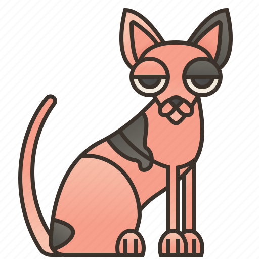 Cat, hairless, pink, skin, sphynx icon - Download on Iconfinder