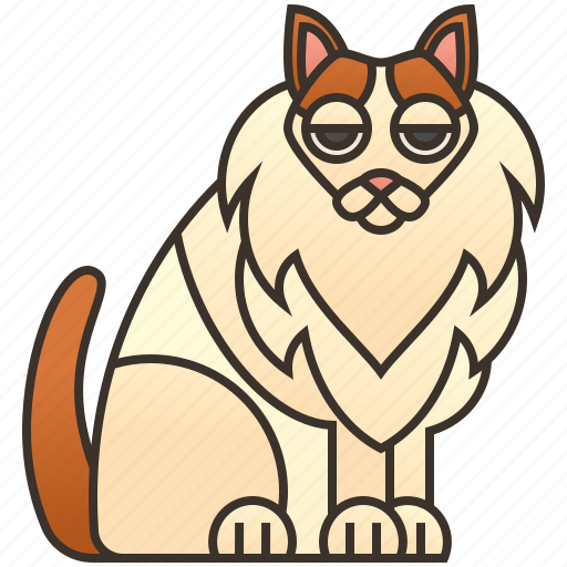 Beautiful, cat, fluffy, turkish, van icon - Download on Iconfinder