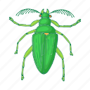 beetle, bug, cartoon, creature, fly, insect, pest