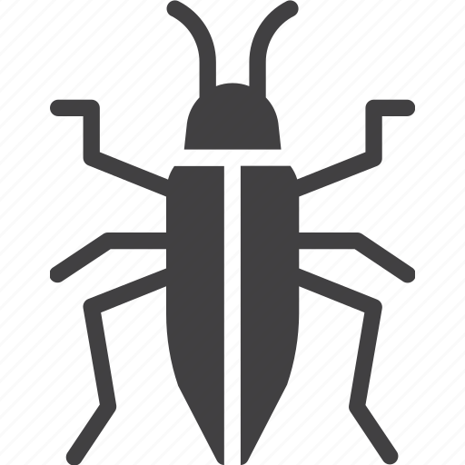 Beetle, bug, insect, roach icon - Download on Iconfinder