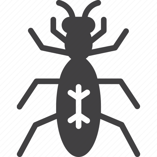 Bug, ground beetle, insect icon - Download on Iconfinder
