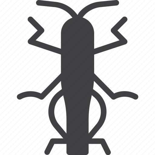 Bug, grasshopper, insect, locusts icon - Download on Iconfinder