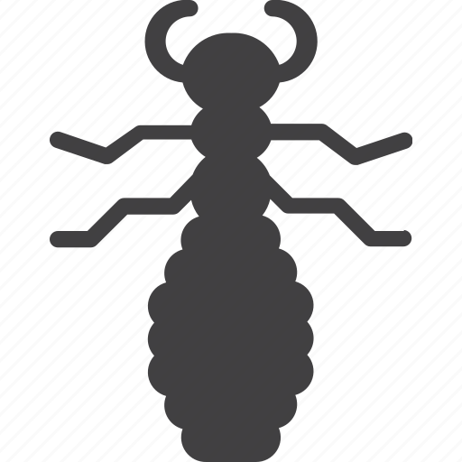 Flea, insect, louse, pest icon - Download on Iconfinder