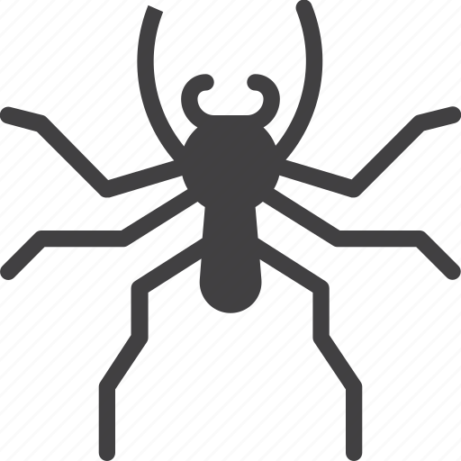 Arachnid, insect, jumping, spider icon - Download on Iconfinder