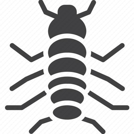 Bug, centipede, insect icon - Download on Iconfinder