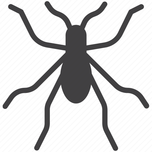 Bedbug, beetle, bug, insect icon - Download on Iconfinder