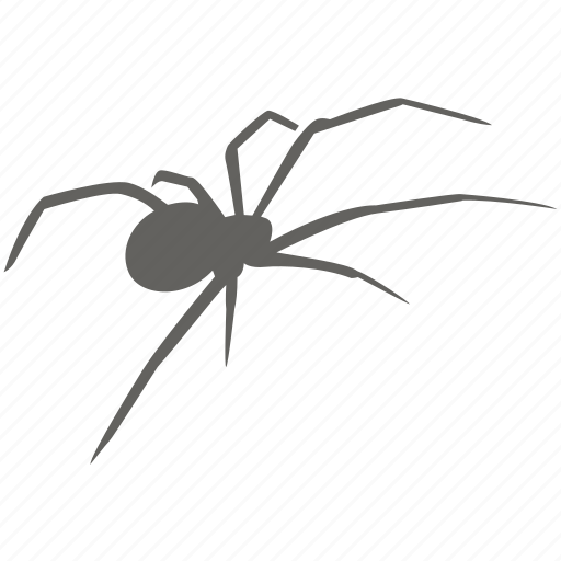 Arachnid, dangerous, poison, spider, venom, bug, toxic icon - Download on Iconfinder