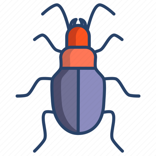 Ground, beetle icon - Download on Iconfinder on Iconfinder