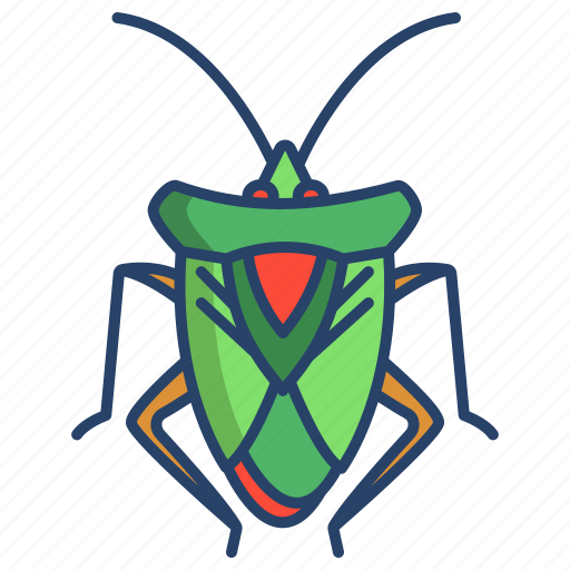Insect icon - Download on Iconfinder on Iconfinder