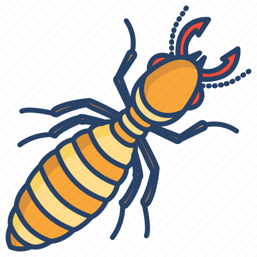 Termite icon - Download on Iconfinder on Iconfinder