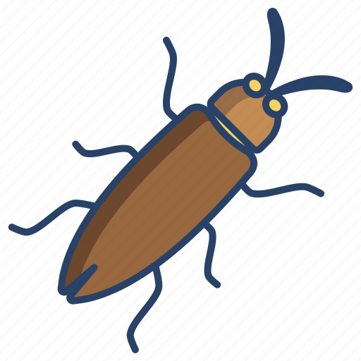 Bug icon - Download on Iconfinder on Iconfinder