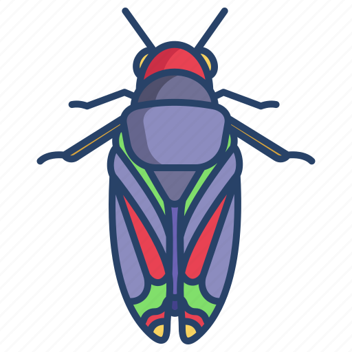 Cicadidae icon - Download on Iconfinder on Iconfinder