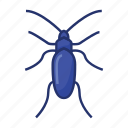 beetle, bug, bugs, insect, insecticide, virus, viruses