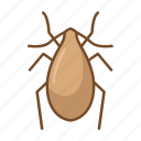 bed bug, bug, bugs, insect, insecticide, virus, viruses