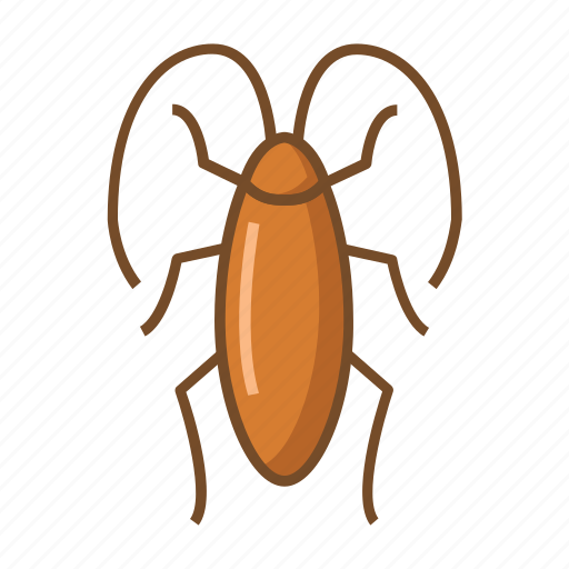 Bugs, cockroach, cockroaches, insect, virus, viruses icon - Download on Iconfinder