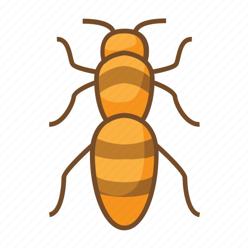 Bee, bug, bugs, honey, insect, insecticide, sting icon - Download on Iconfinder