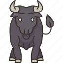 bull, bullfight, horns, fierce, animal