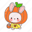 bunny, pumpkin, cute, costume, animal 