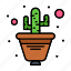 cactus, flower, plant, pot 