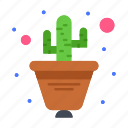 cactus, flower, plant, pot