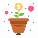 growth, money, tree