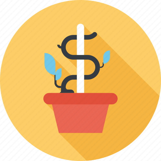 Dollar, expand, flower, growth, investment, nature, plant icon - Download on Iconfinder