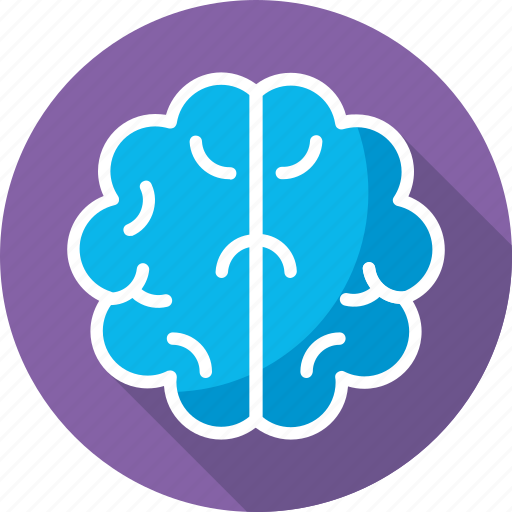 Anatomy, brain, human head, mind, thinking icon - Download on Iconfinder