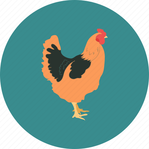 Agriculture, aviculture, bird, farming, hen icon - Download on Iconfinder