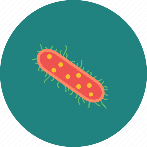 Bacteria, disease, health, medicine icon - Download on Iconfinder
