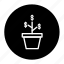 business, finance, growth, investment, money, plant 