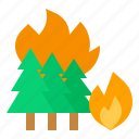 disaster, fire, made, man, tree, wild 