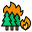 disaster, fire, made, man, tree, wild 
