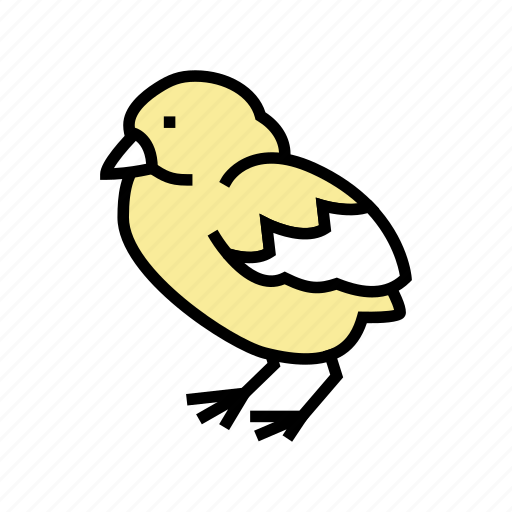 Chick, bird, chicken, meat, factory, feather icon - Download on Iconfinder