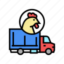 chicken, truck, transportation, meat, factory, feather