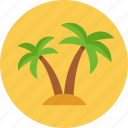 palm tree, tropical, beach, vacation, travel, resort, summer