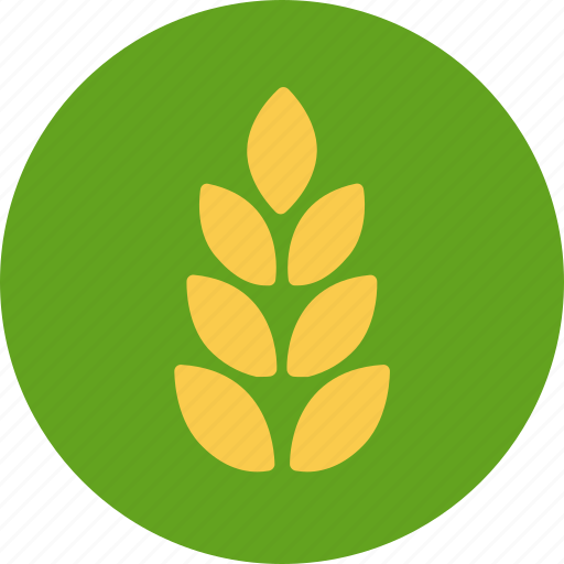Wheat, gluten, grain, agriculture, food, bread, flour icon - Download on Iconfinder