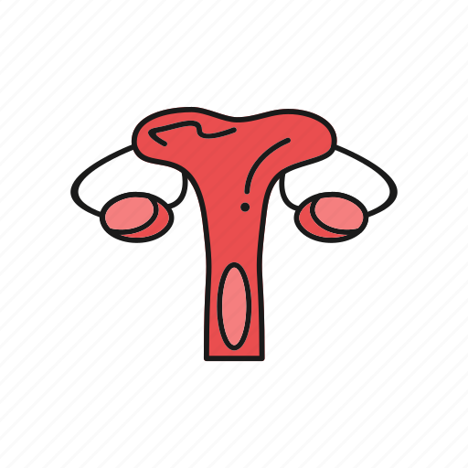 Female, organ, reproductive, syst, vagina icon - Download on Iconfinder