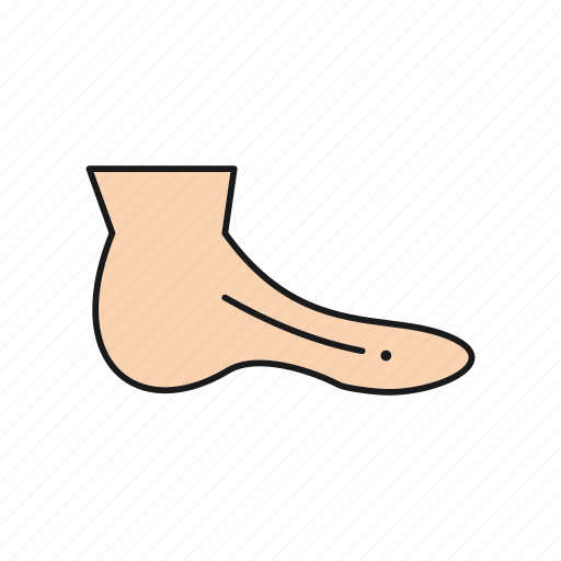 Anatomy, ankle, foot, leg icon - Download on Iconfinder