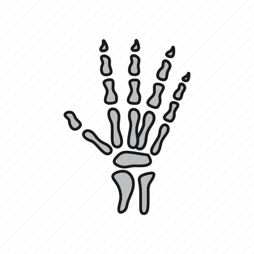 Bones, hand, medical, ray, x icon - Download on Iconfinder