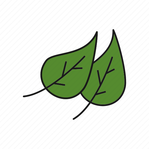 Ecology, leaves, nature, salad icon - Download on Iconfinder