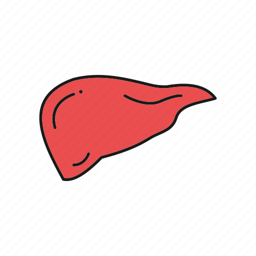 Anatomy, detoxification, hepatology, liver icon - Download on Iconfinder