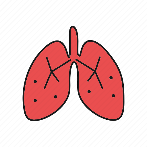 Anatomy, failure, hospital, kidney icon - Download on Iconfinder