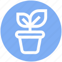 business growth, investment, leaf, office, plant, plant pot